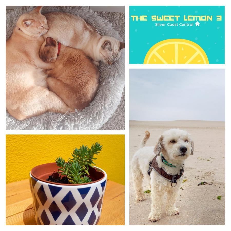 The Sweet Lemon 3 Apartment Бомбарал Екстериор снимка